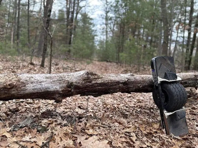 trail with a tree blocking