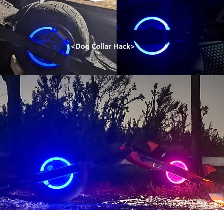 dog collars for onewheels at night